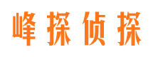 点军婚外情调查